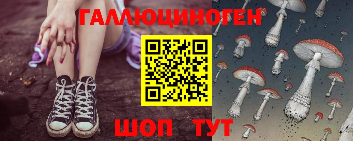 Псилоцибиновые грибы Psilocybine cubensis Артёмовский